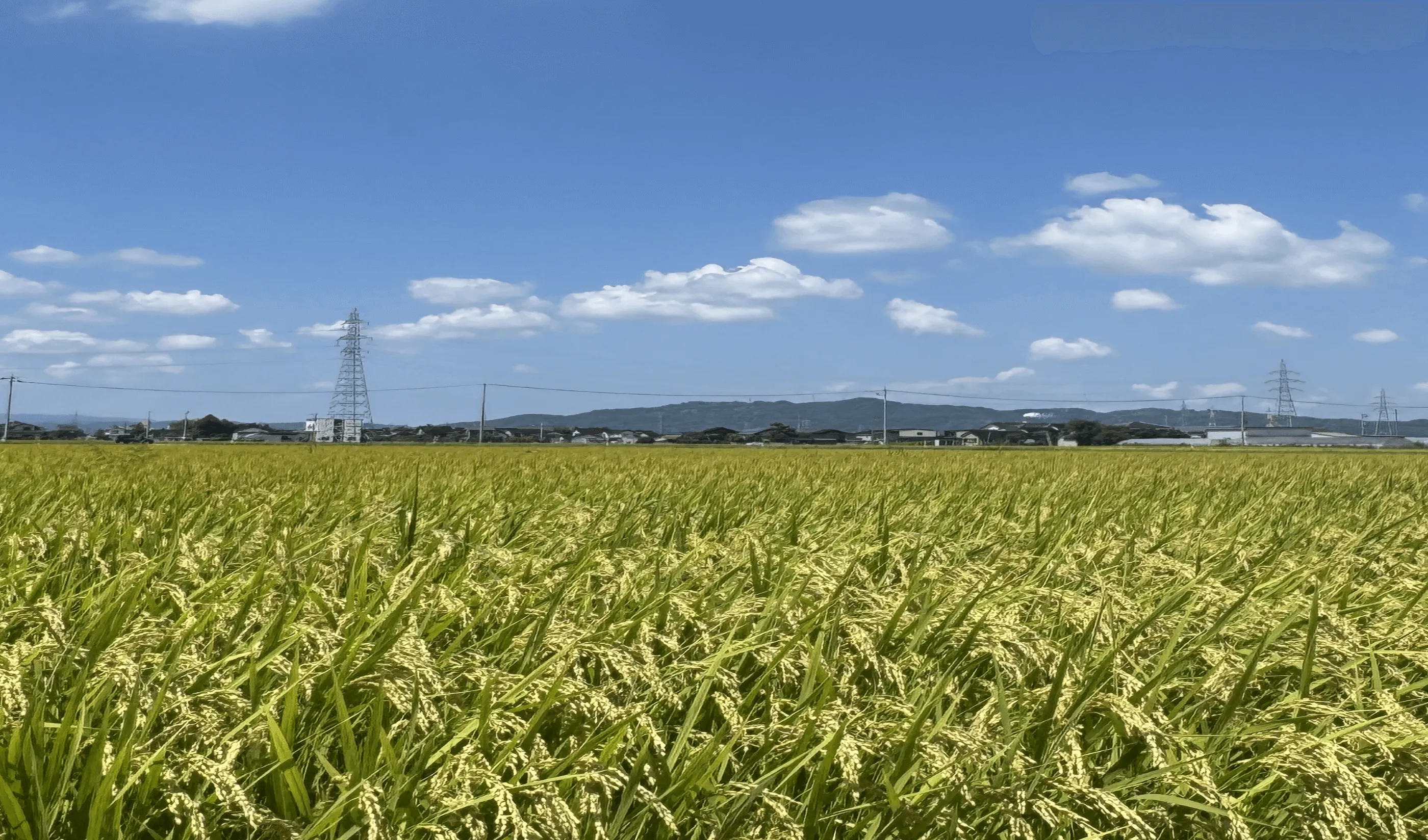 百姓一家について